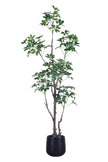 Schefflera G: Artificial Schefflera Tree with Lush Green Leaves