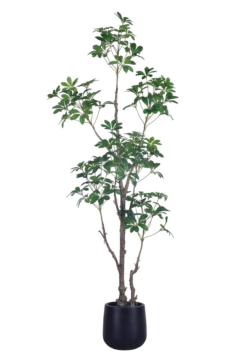 Schefflera G: Artificial Schefflera Tree with Lush Green Leaves