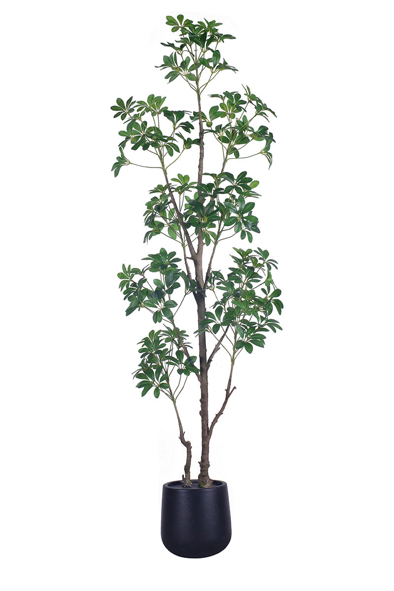 Schefflera G: Artificial Schefflera Tree with Lush Green Leaves