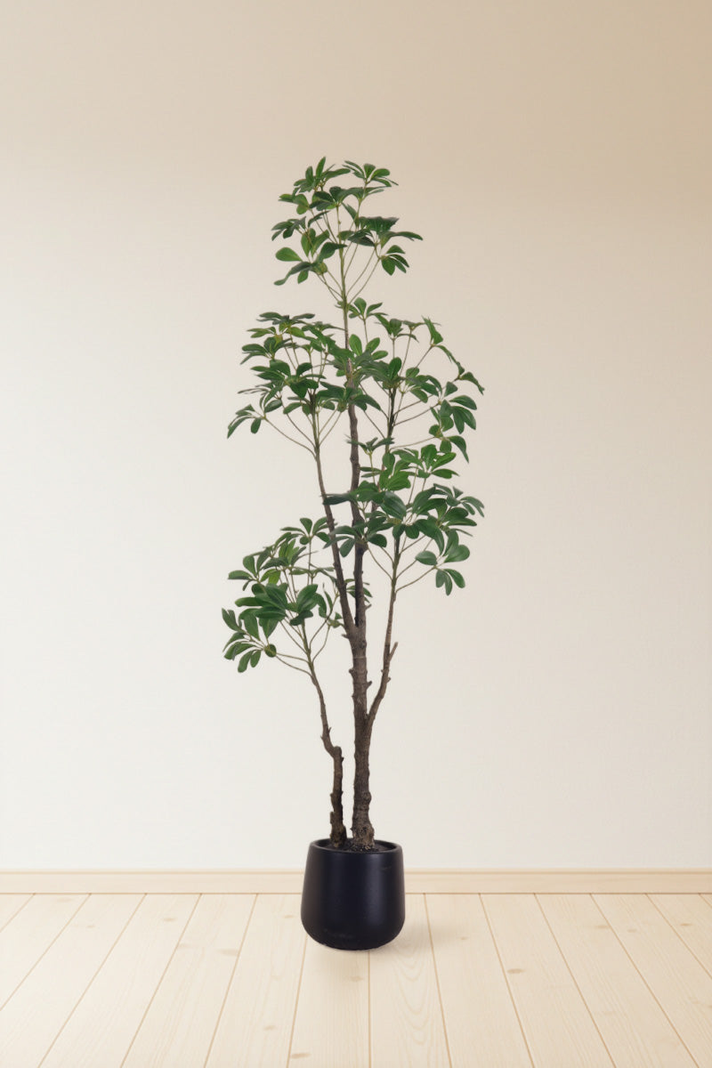 Schefflera G: Artificial Schefflera Tree with Lush Green Leaves