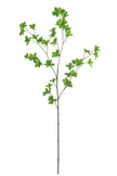 Single Branch for Vases Olive/ Japonica Pieris/ Enkianthus