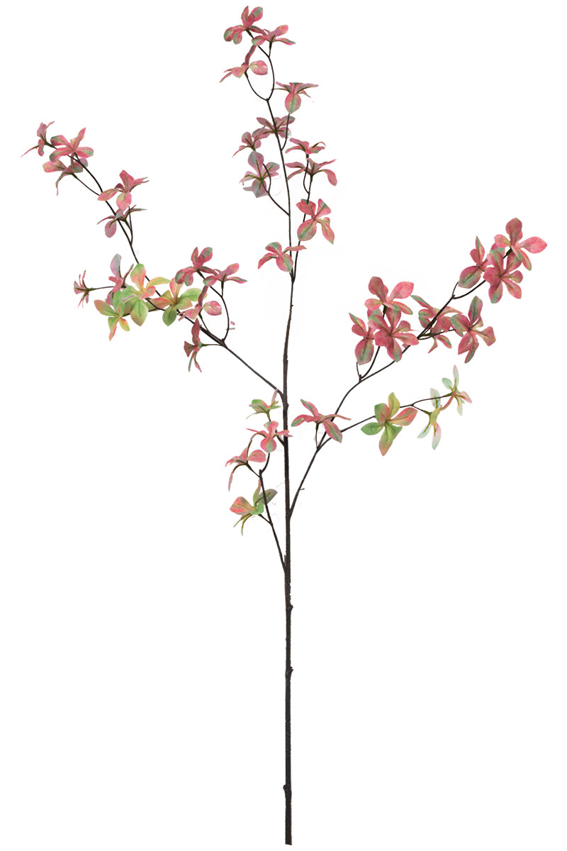 Single Branch for Vases Olive/ Japonica Pieris/ Enkianthus