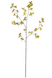 Single Branch for Vases Olive/ Japonica Pieris/ Enkianthus