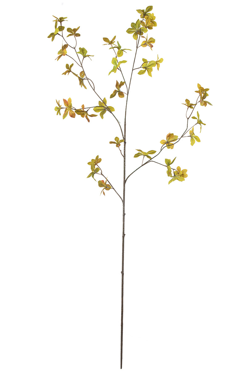 Single Branch for Vases Olive/ Japonica Pieris/ Enkianthus