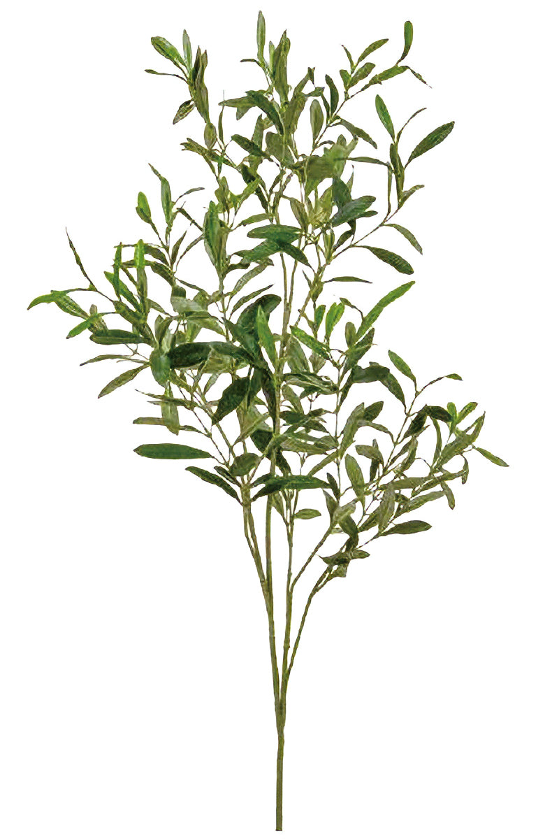 Single Branch for Vases Olive/ Japonica Pieris/ Enkianthus