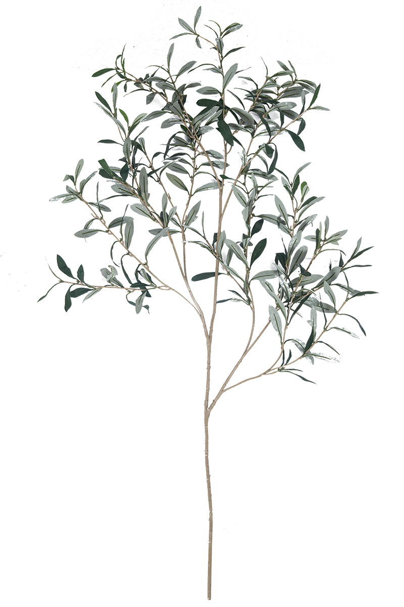 Single Branch for Vases Olive/ Japonica Pieris/ Enkianthus
