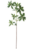 Single Branch for Vases Olive/ Japonica Pieris/ Enkianthus