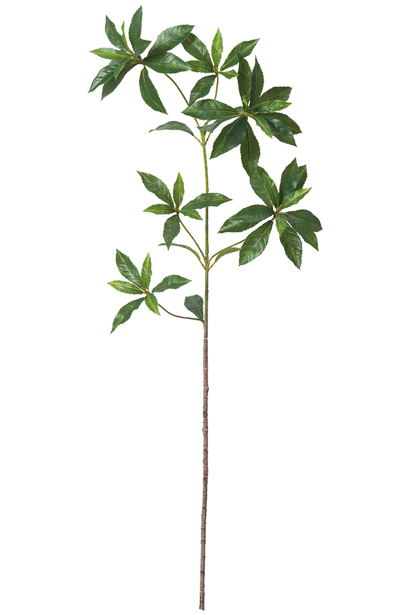 Single Branch for Vases Olive/ Japonica Pieris/ Enkianthus