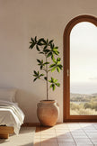 Single Branch for Vases Olive/ Japonica Pieris/ Enkianthus