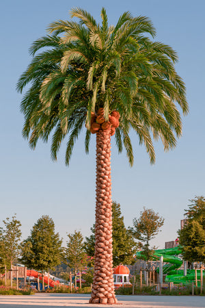 Large‑Scale Custom Artificial Coconut Palm