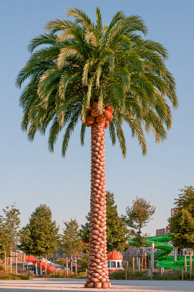 Large‑Scale Custom Artificial Coconut Palm