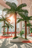 Large‑Scale Custom Artificial Coconut Palm