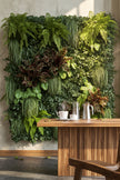 Jardin Vertical/ Murs Végétalisés