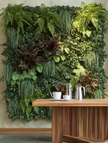 Vertical Garden/ Green Walls