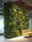Vertical Garden/ Green Walls