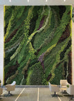 Vertical Garden/ Green Walls