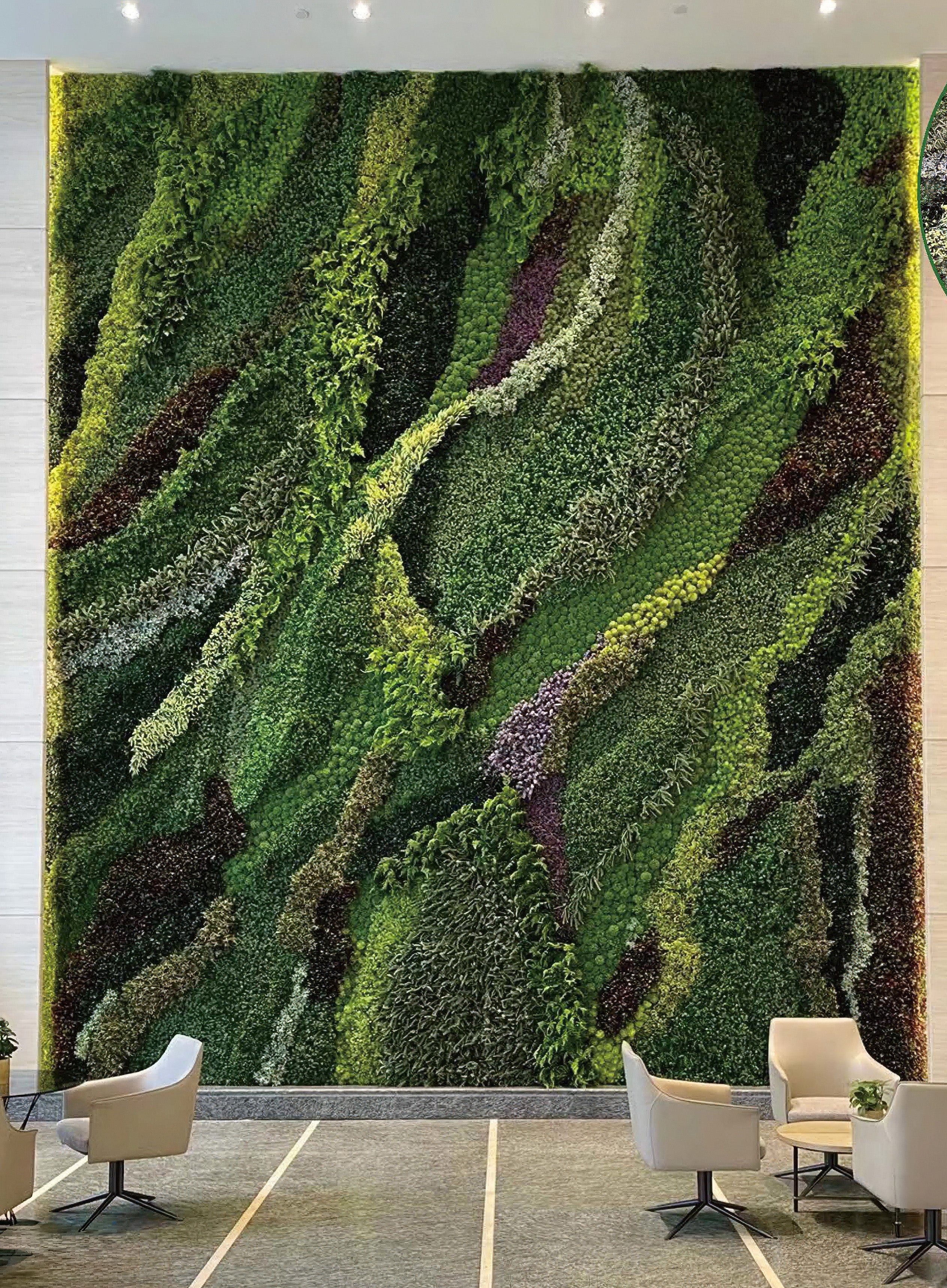 Vertical Garden/ Green Walls