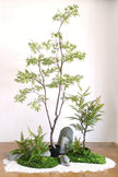 Integrated Botanical Landscape Installations