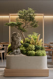 Gecombineerde Plantarrangementen in Plantenbakken