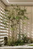 Integrated Botanical Landscape Installations
