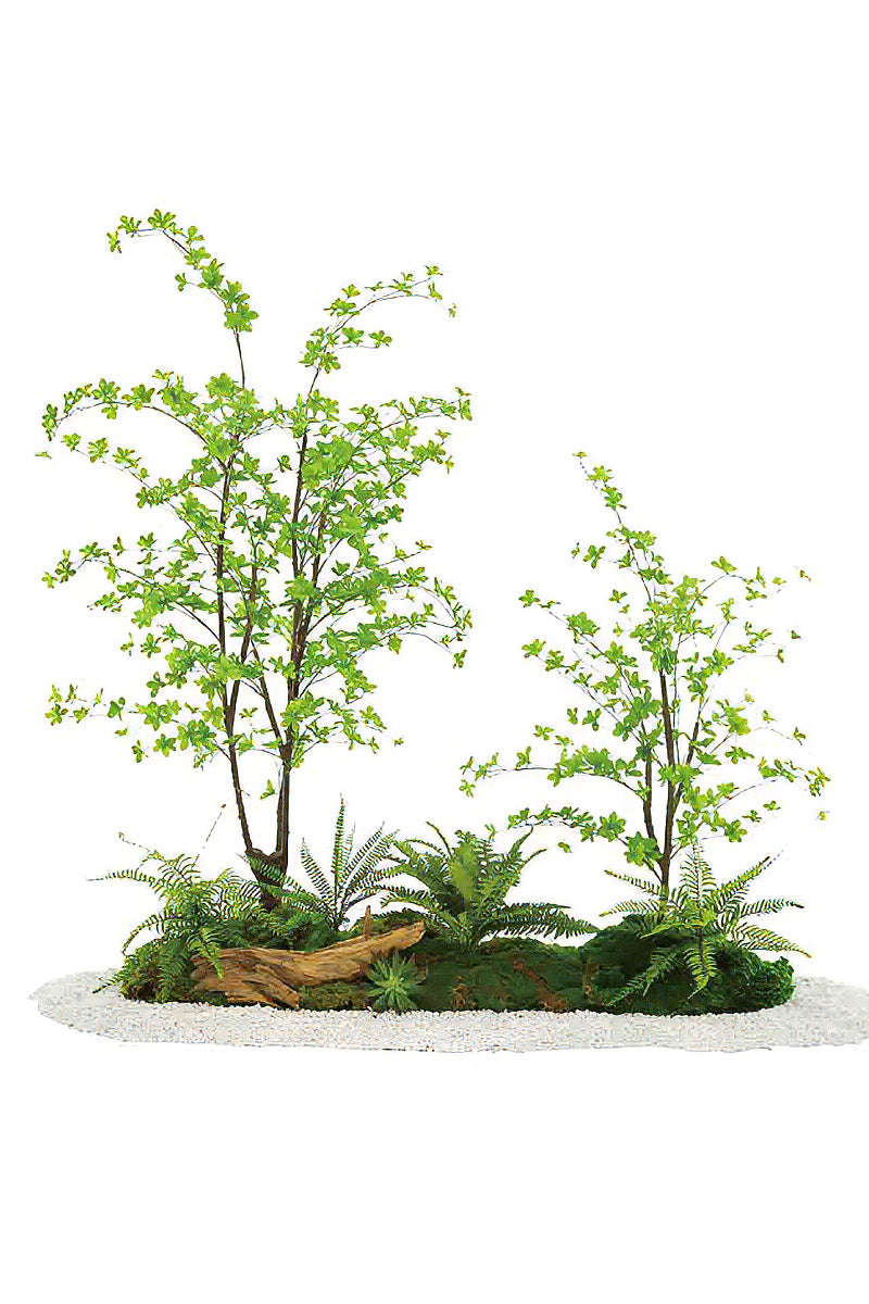 Integrated Botanical Landscape Installations