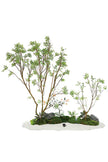 Integrated Botanical Landscape Installations