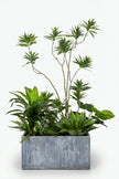 Mixed Plant Arrangements in Planters