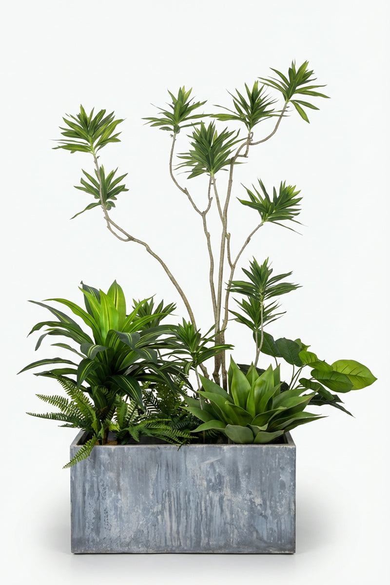 Mixed Plant Arrangements in Planters
