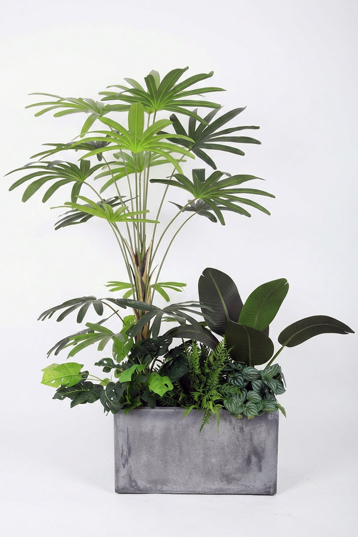 Arrangements de plantes mélangées en jardinières