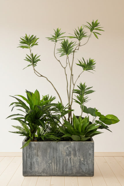 Mixed Plant Arrangements in Planters