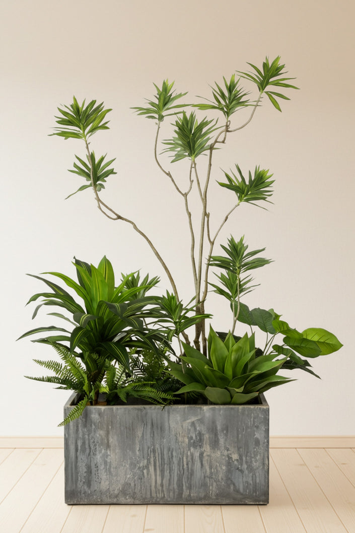 Arrangements de plantes mélangées en jardinières