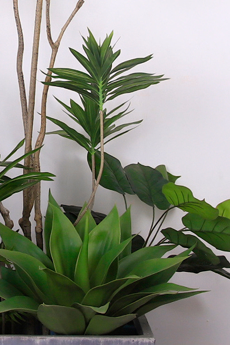 Mixed Plant Arrangements in Planters