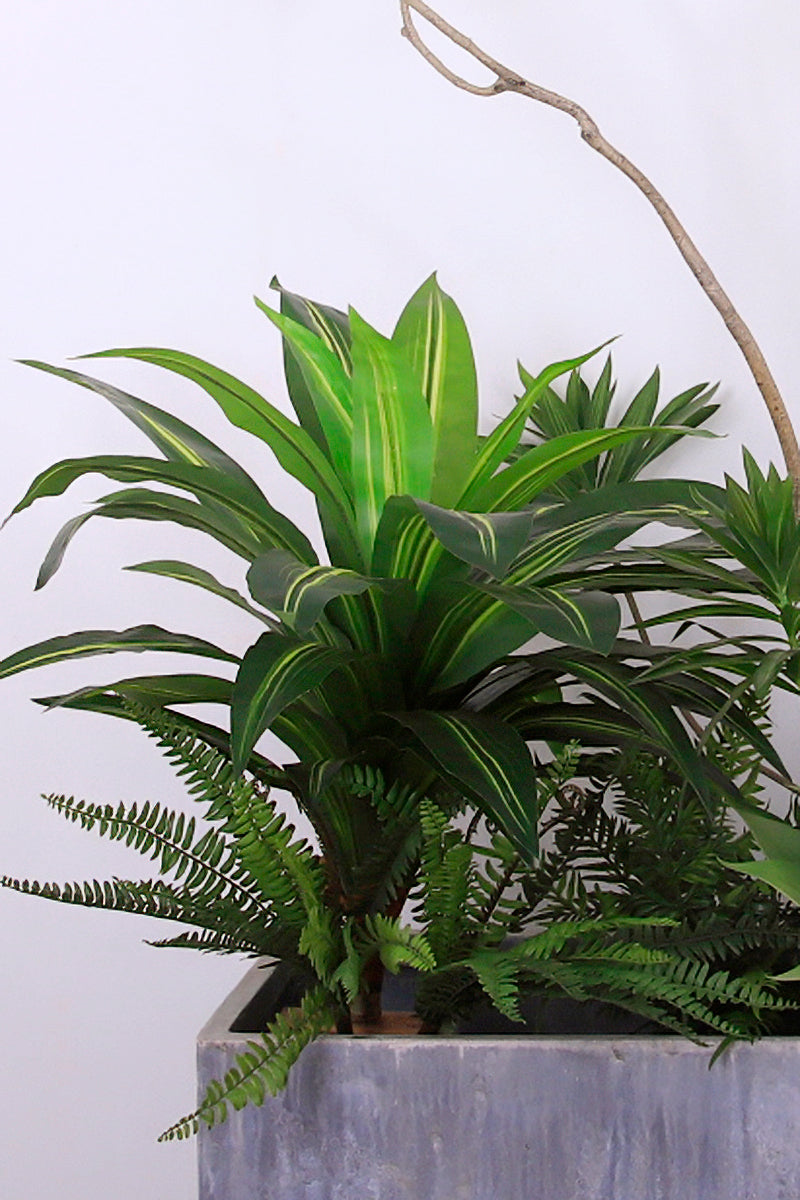 Mixed Plant Arrangements in Planters
