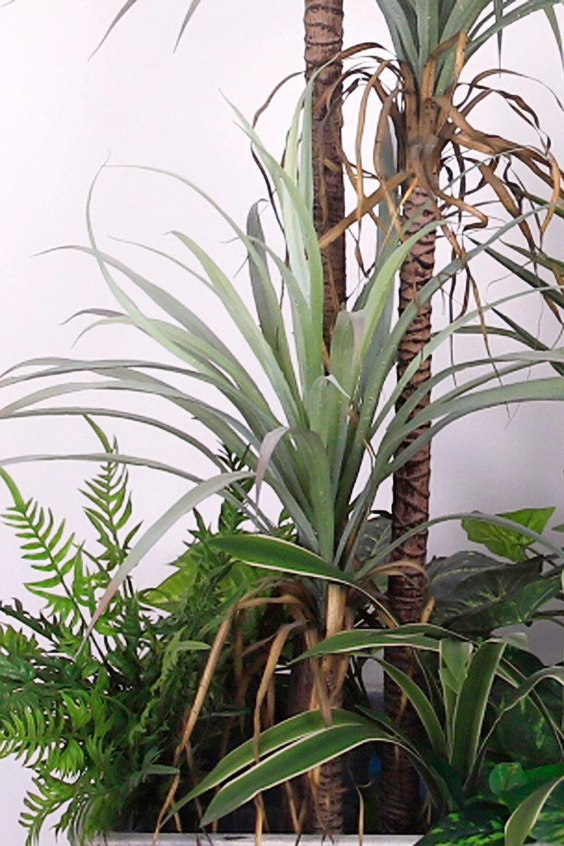 Mixed Plant Arrangements in Planters