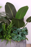 Mixed Plant Arrangements in Planters