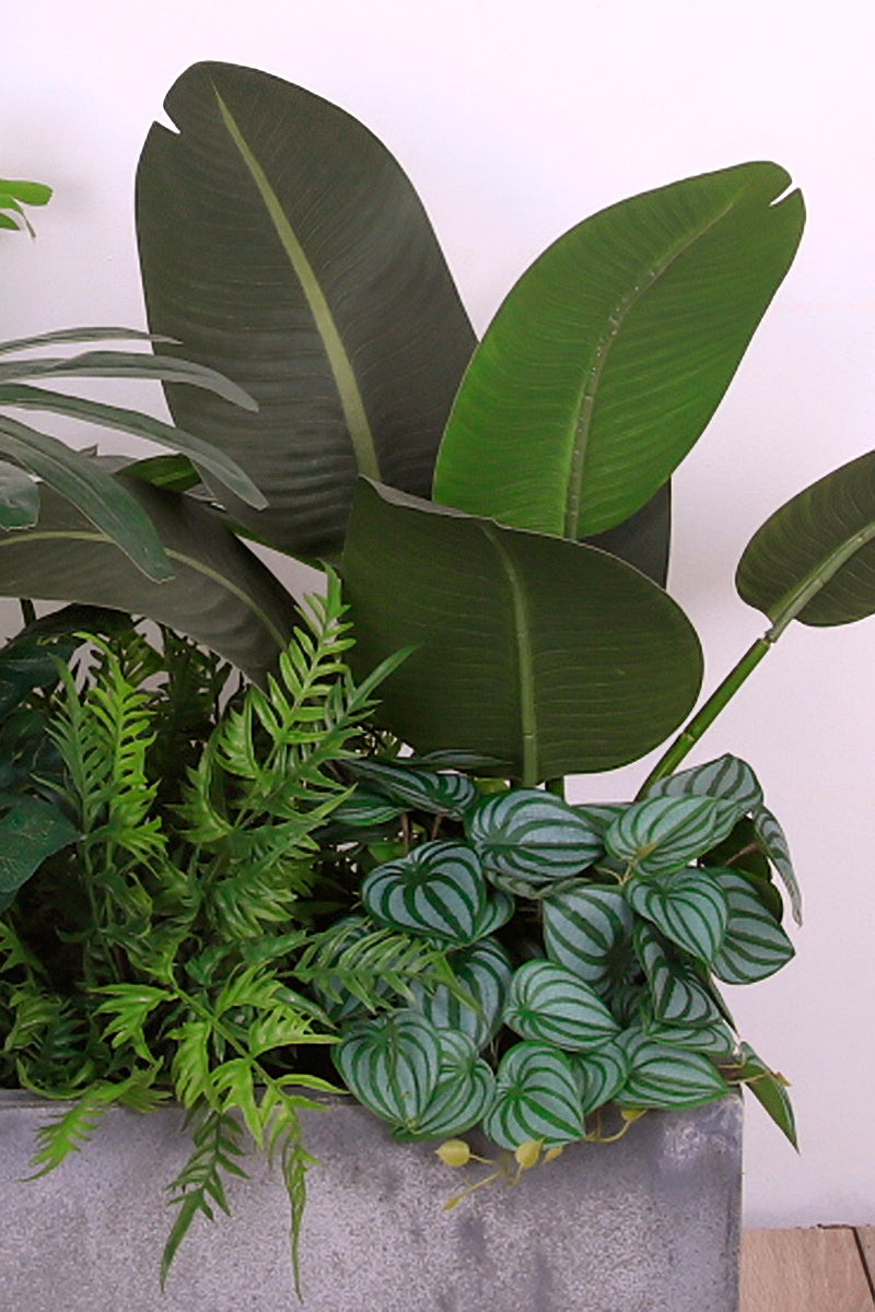 Mixed Plant Arrangements in Planters