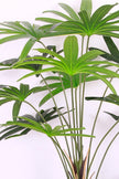 Mixed Plant Arrangements in Planters