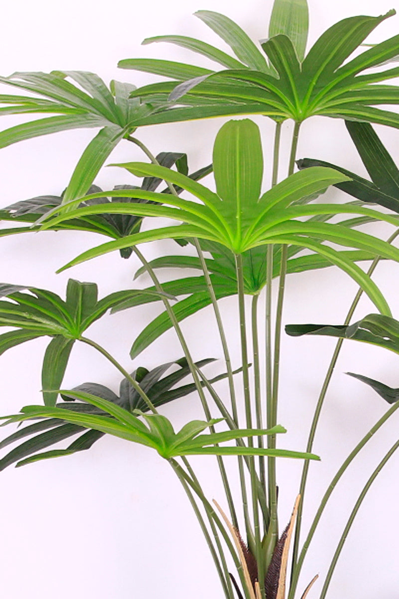 Mixed Plant Arrangements in Planters