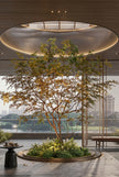 Customized Statement Trees